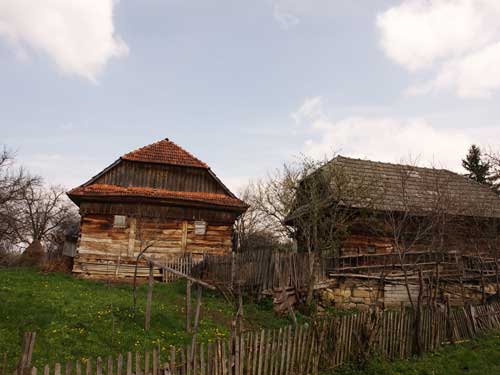 Foto Carpinis- grajd si sura (c) Petru Goja